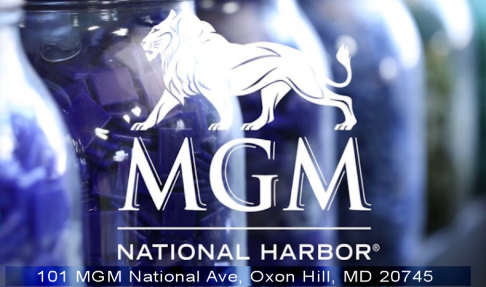 03. mgm national harbor logo 300